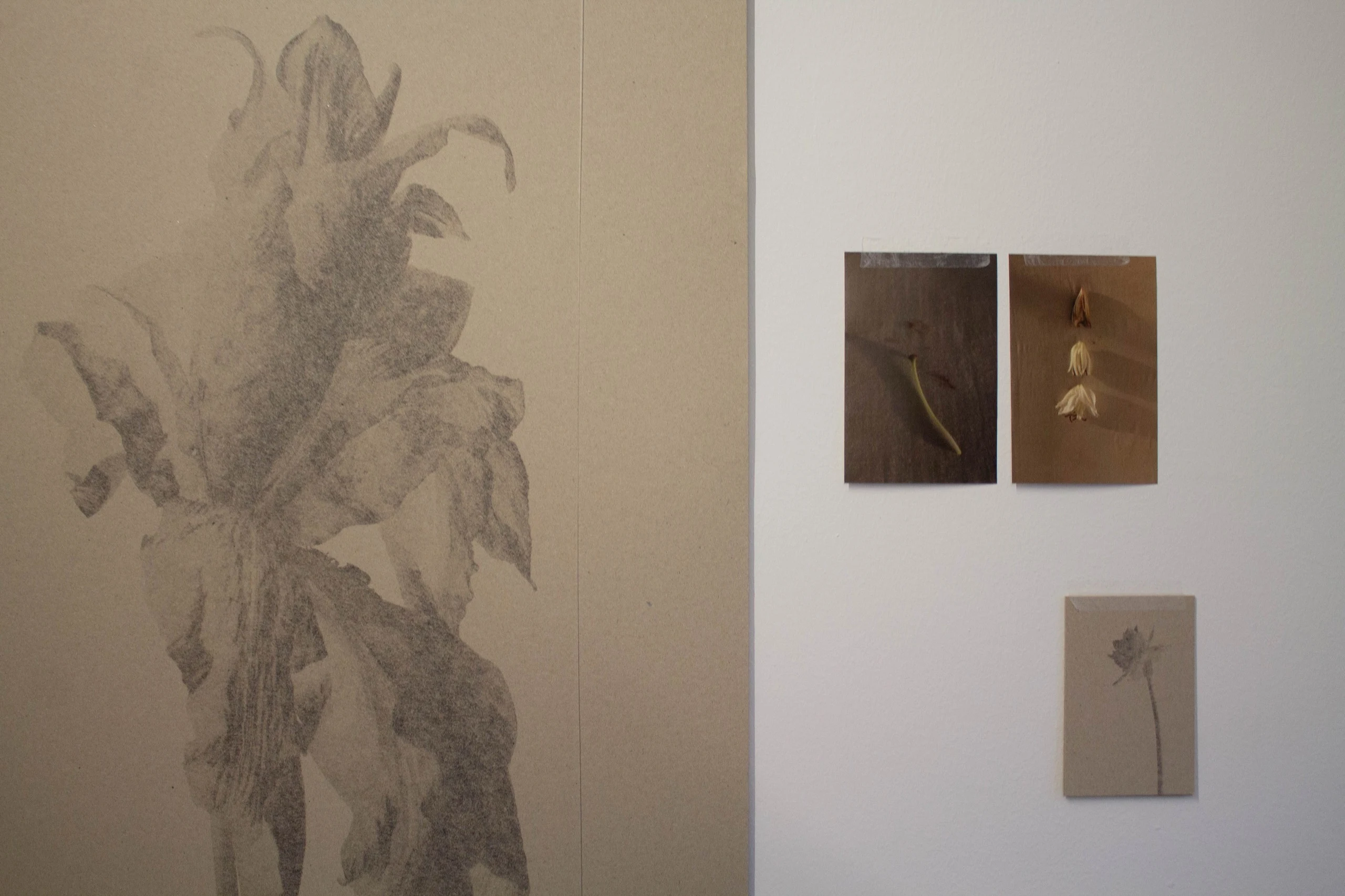 Contemporary Artist Exhibition Barcelona - Cycles: An exhibition by Kamila Solarz | Repose Archive