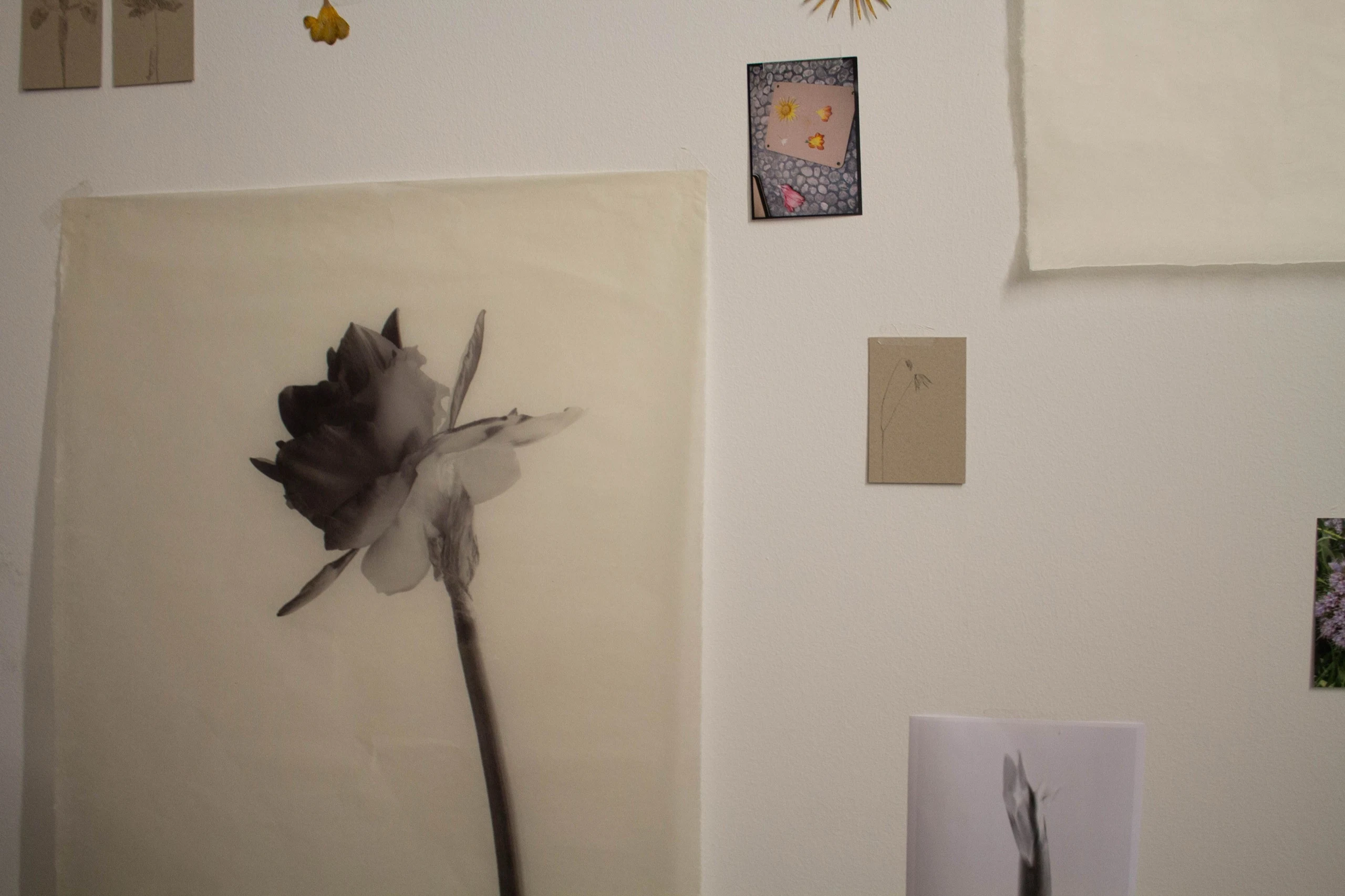 Cycles Exhibition Detail View - Cycles: An exhibition by Kamila Solarz | Repose Archive