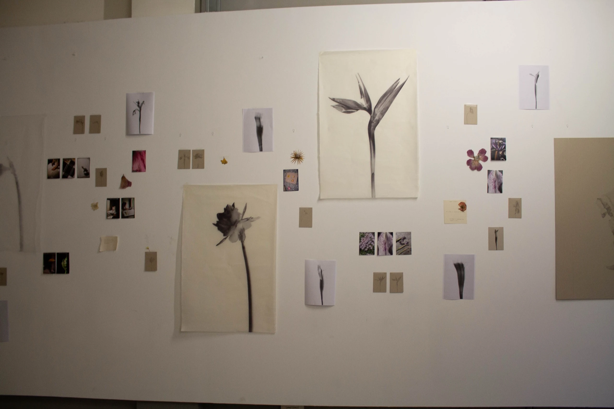 Kamila Solarz Creative Process Artwork - Cycles: An exhibition by Kamila Solarz | Repose Archive