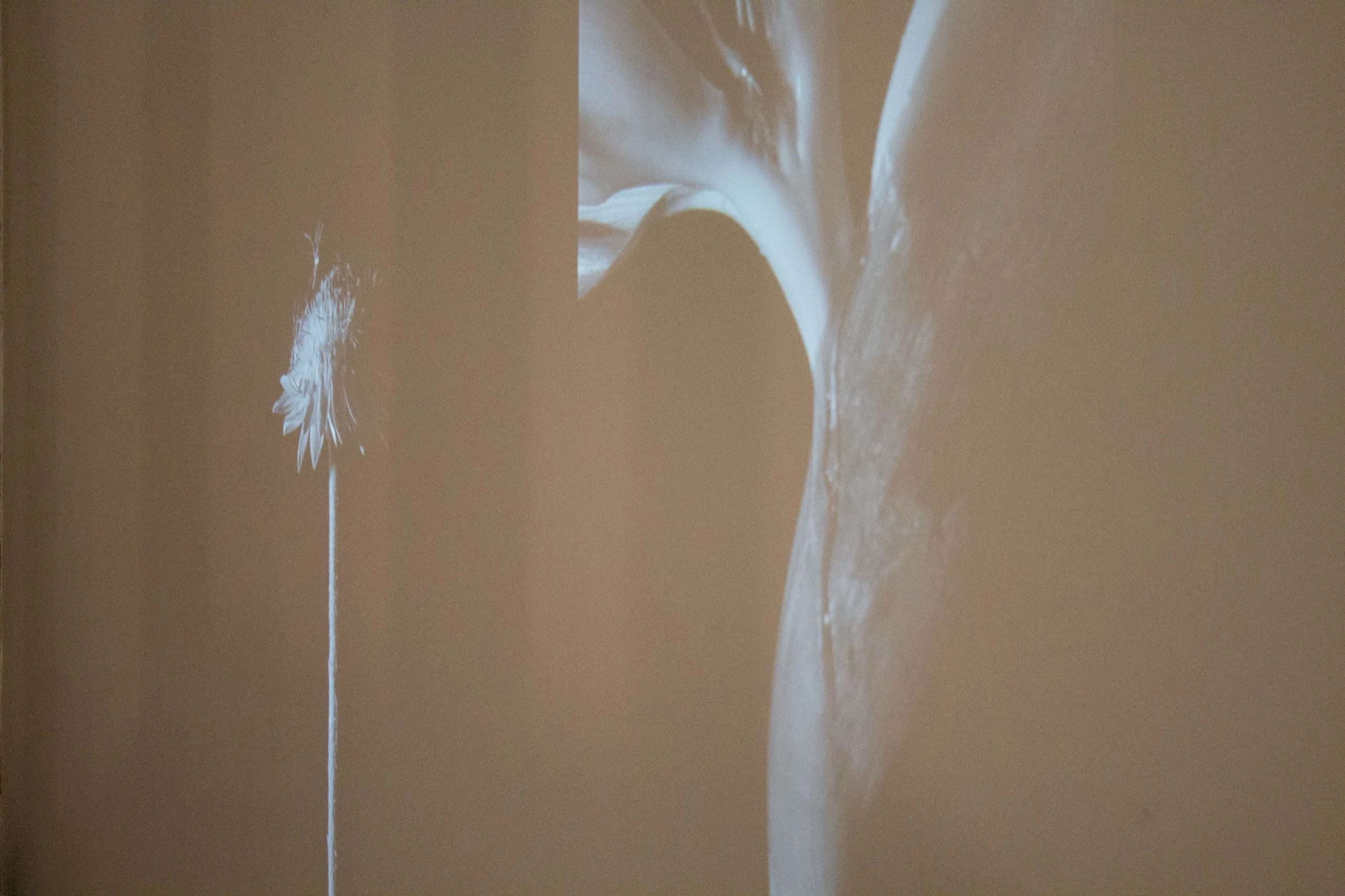Taula Barcelona Art Space Exhibition - Cycles: An exhibition by Kamila Solarz | Repose Archive