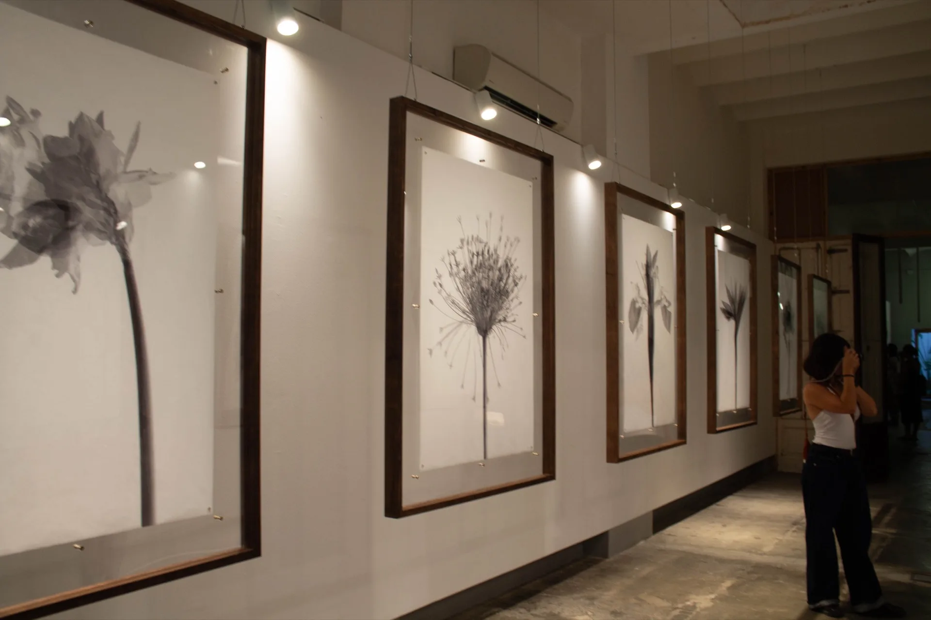 Img 8684 - Cycles: An exhibition by Kamila Solarz | Repose Archive