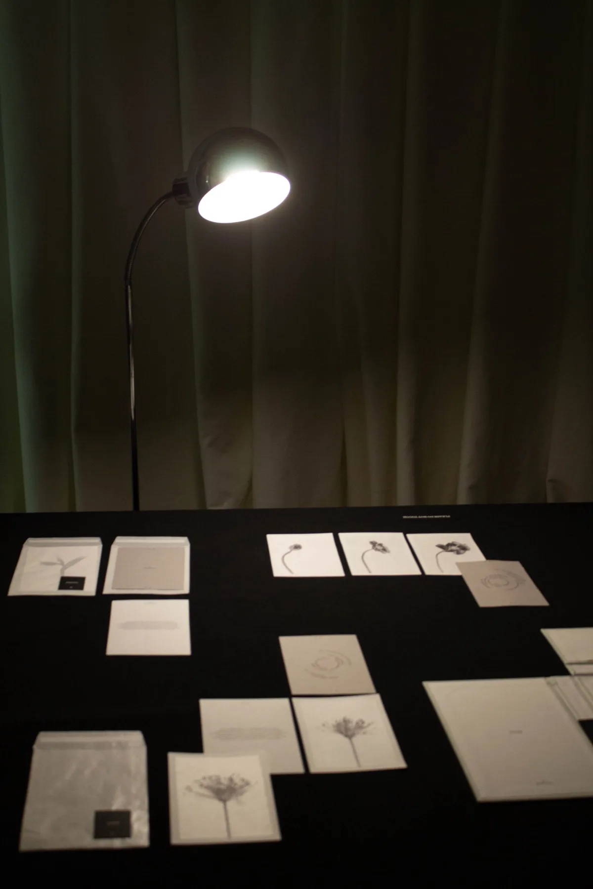 Img 8664 - Cycles: An exhibition by Kamila Solarz | Repose Archive