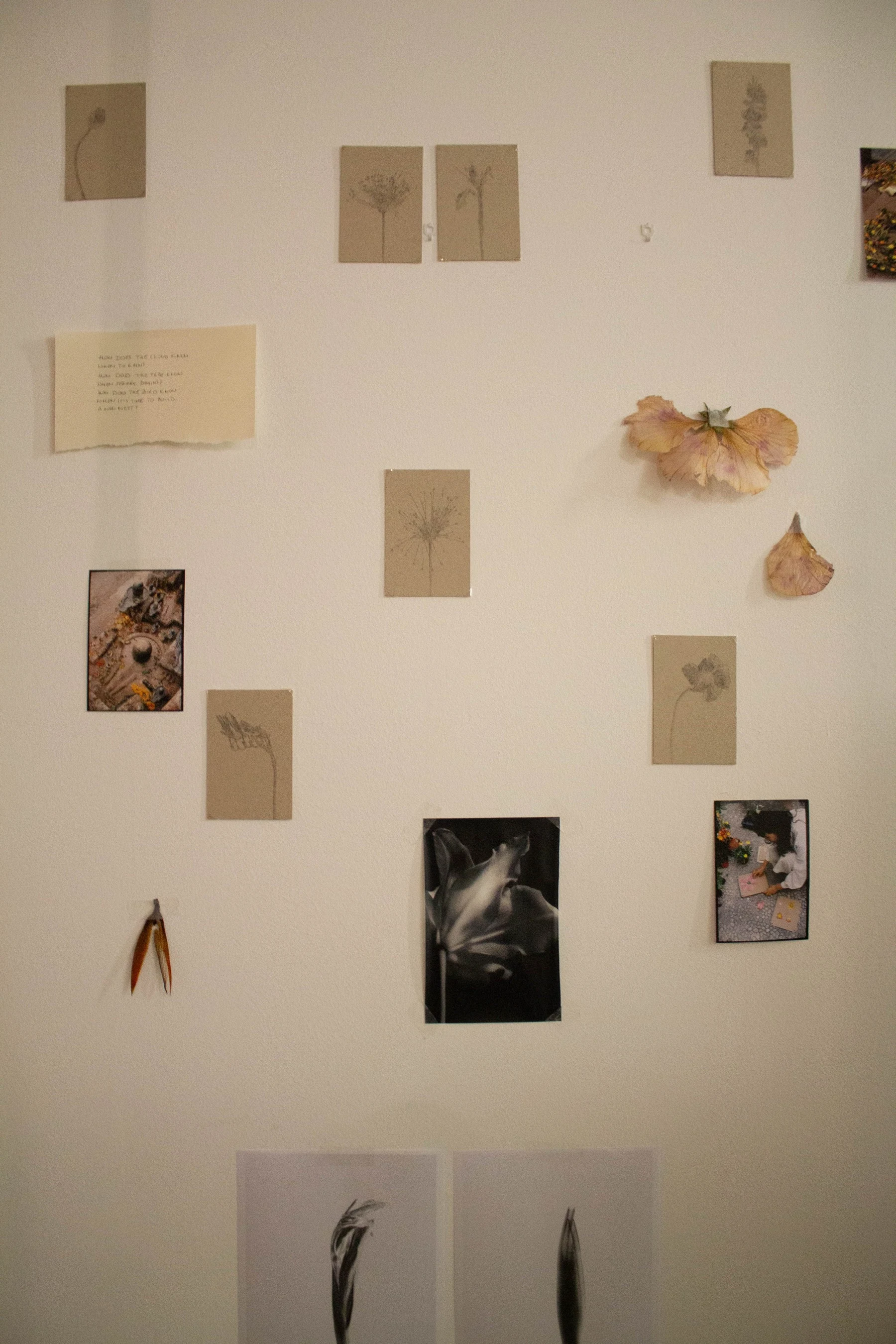 Contemporary Art Exhibition Barcelona - Cycles: An exhibition by Kamila Solarz | Repose Archive