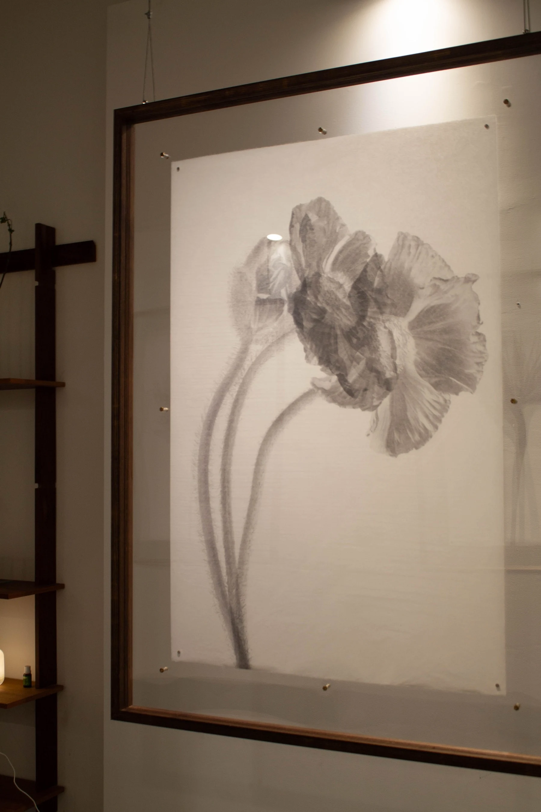 Taula Gallery Barcelona Contemporary Art - Cycles: An exhibition by Kamila Solarz | Repose Archive