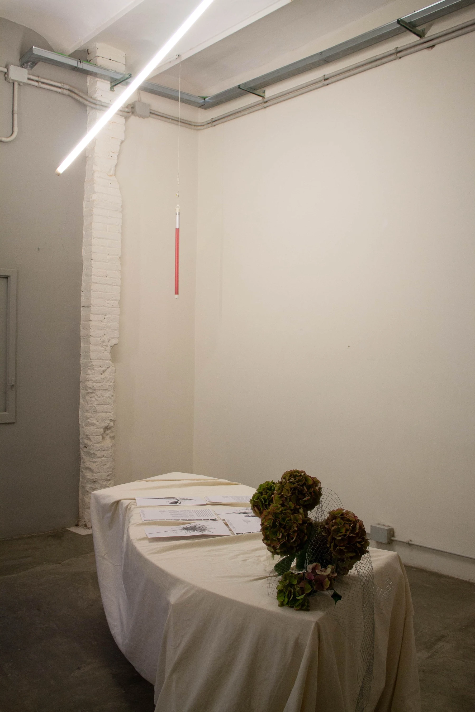 Cycles Exhibition Artwork Documentation - Cycles: An exhibition by Kamila Solarz | Repose Archive