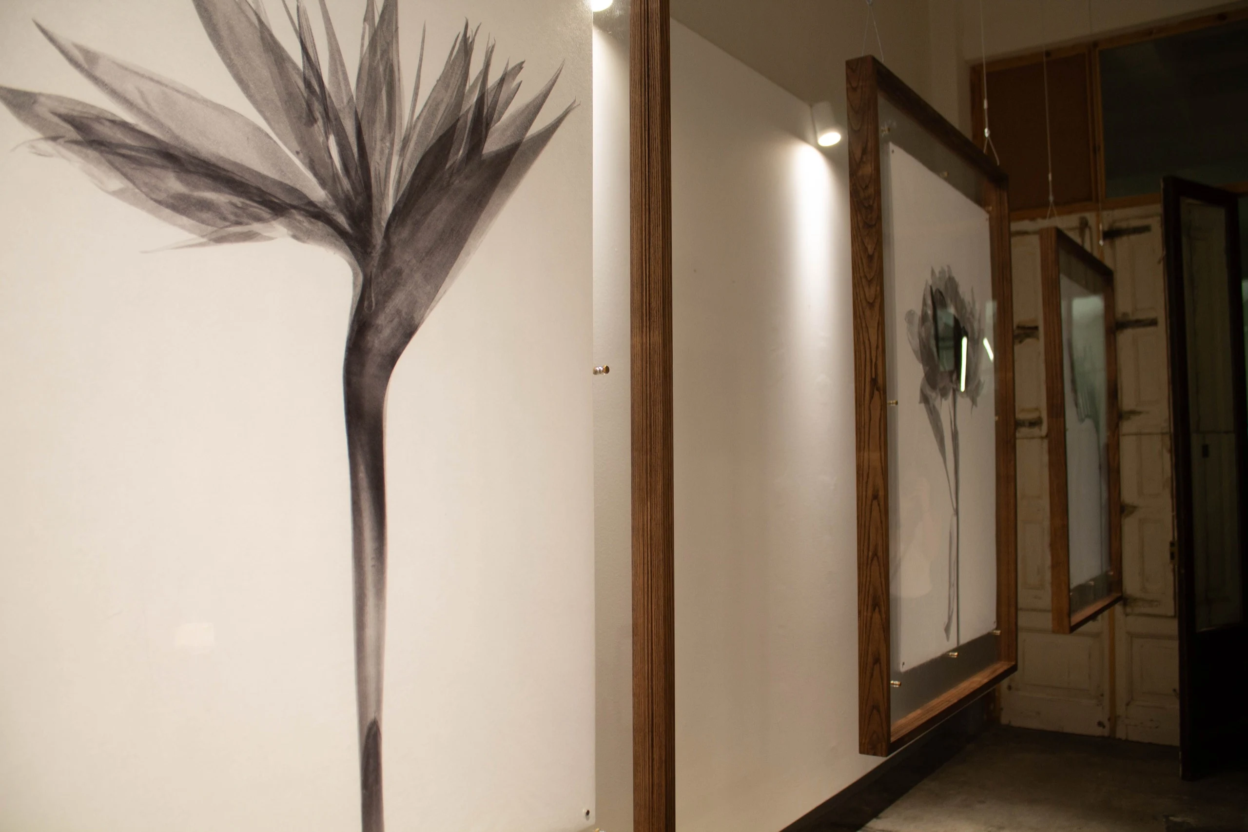 Kamila Solarz Artist Exhibition Work - Cycles: An exhibition by Kamila Solarz | Repose Archive
