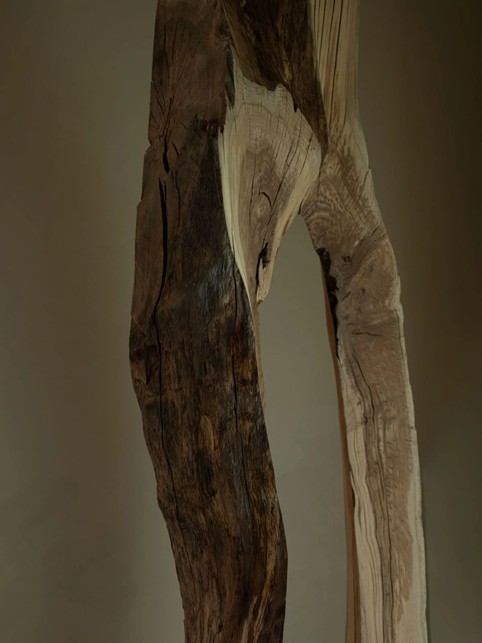 - Joerg Koziol | Repose Archive