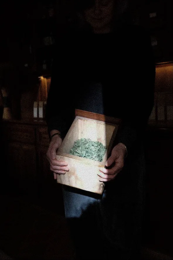 644268538 1581612302948523 4166027650220609037 N - Karine Alice Brun: Plants and words | Repose Archive