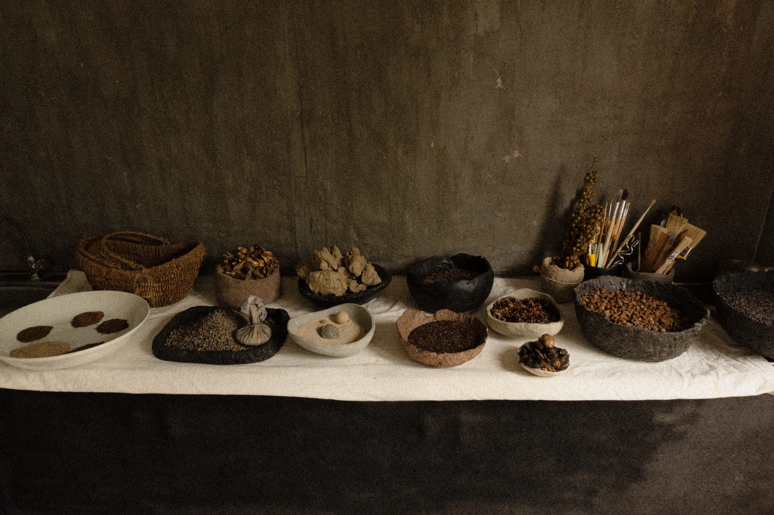 Mila Halizova Seed Art Collected Materials - Mila Halizova | Repose Archive