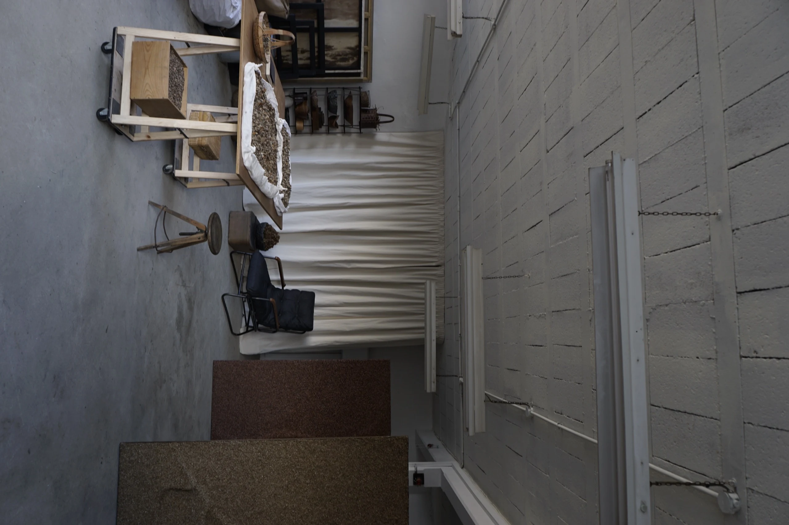 Mila Halizova Cleaning Seeds Studio Work - Mila Halizova | Repose Archive