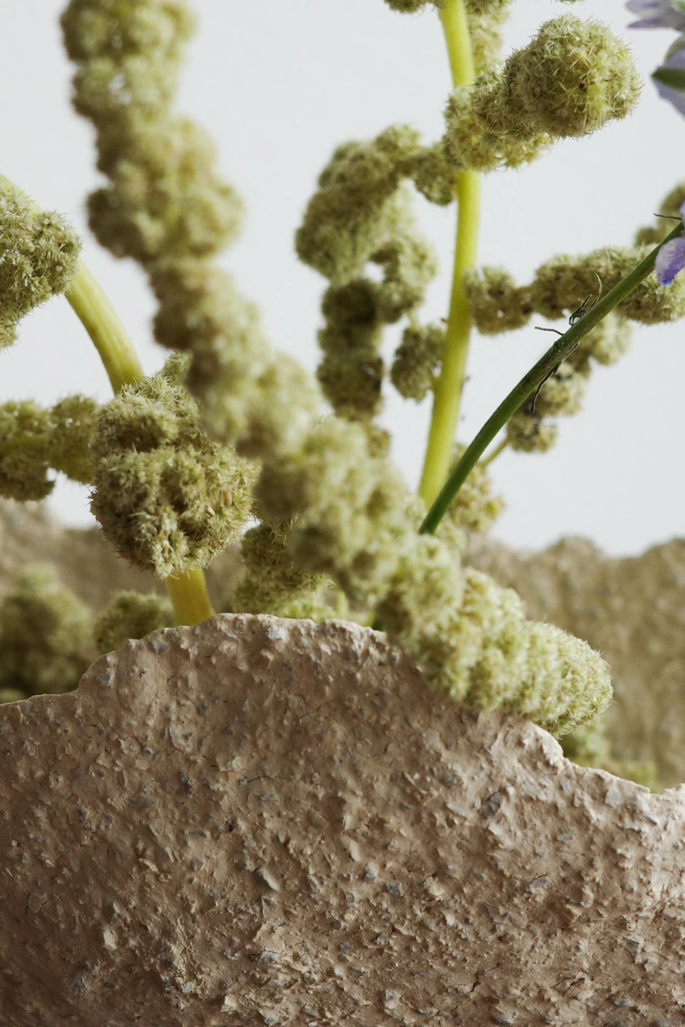 Close-up of textured ceramic vessel with green ikebana flowers