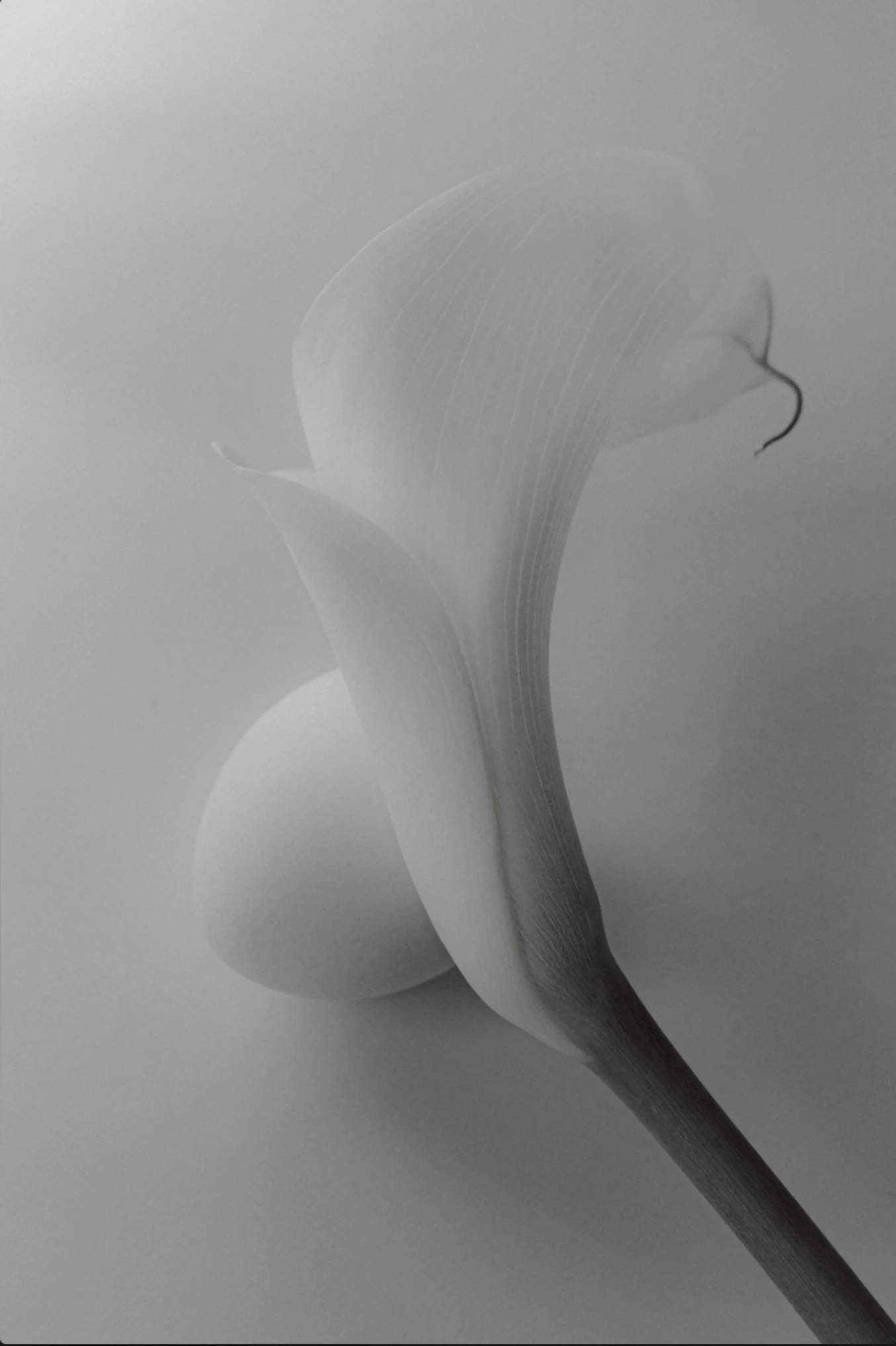 Mindful Creative Practice Body Awareness - Julia Ivashkina | Repose Archive