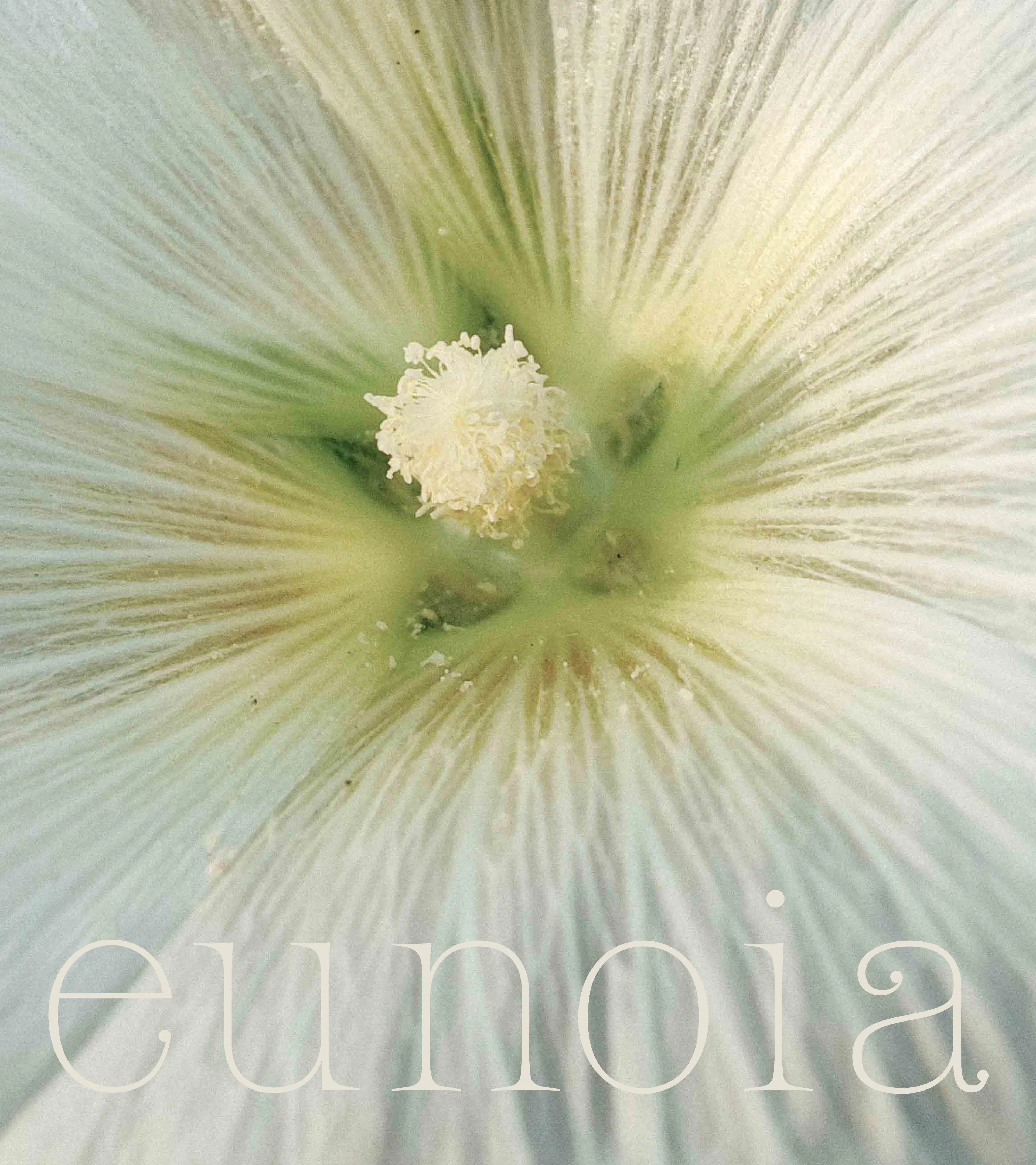 Eunoia Yoga visual identity - Repose Studio