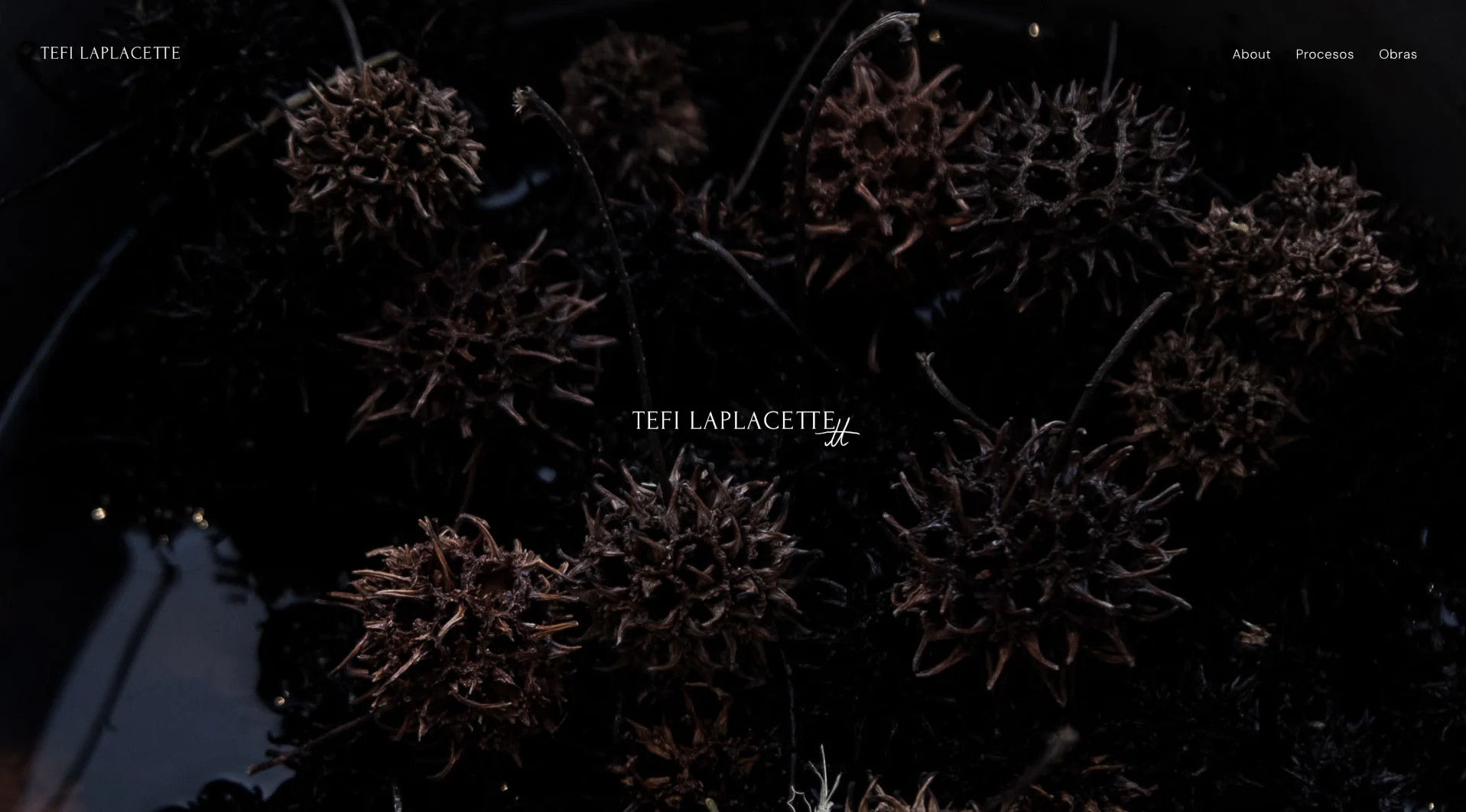 Tefi Laplacette website design - Repose Studio